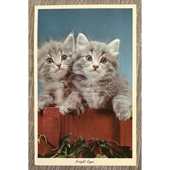 Other - Vintage 1960s Chrome Postcard Bright Eyes Kittens White Border Cute Novelty